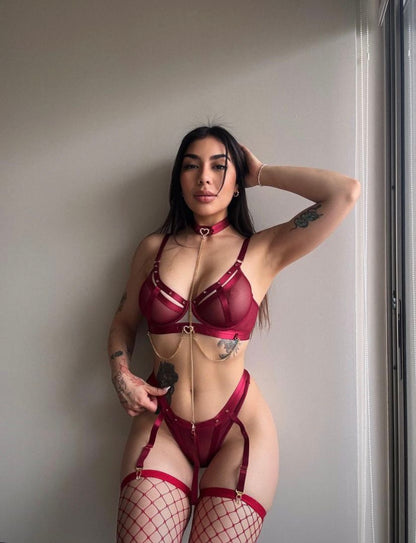 SET DOMINA